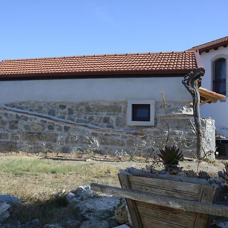 Casa Da Lima - Nestled In Nature On Santiago'S And Fatima'S Path, Close To Coimbra And Rabacal Alvorge Dış mekan fotoğraf