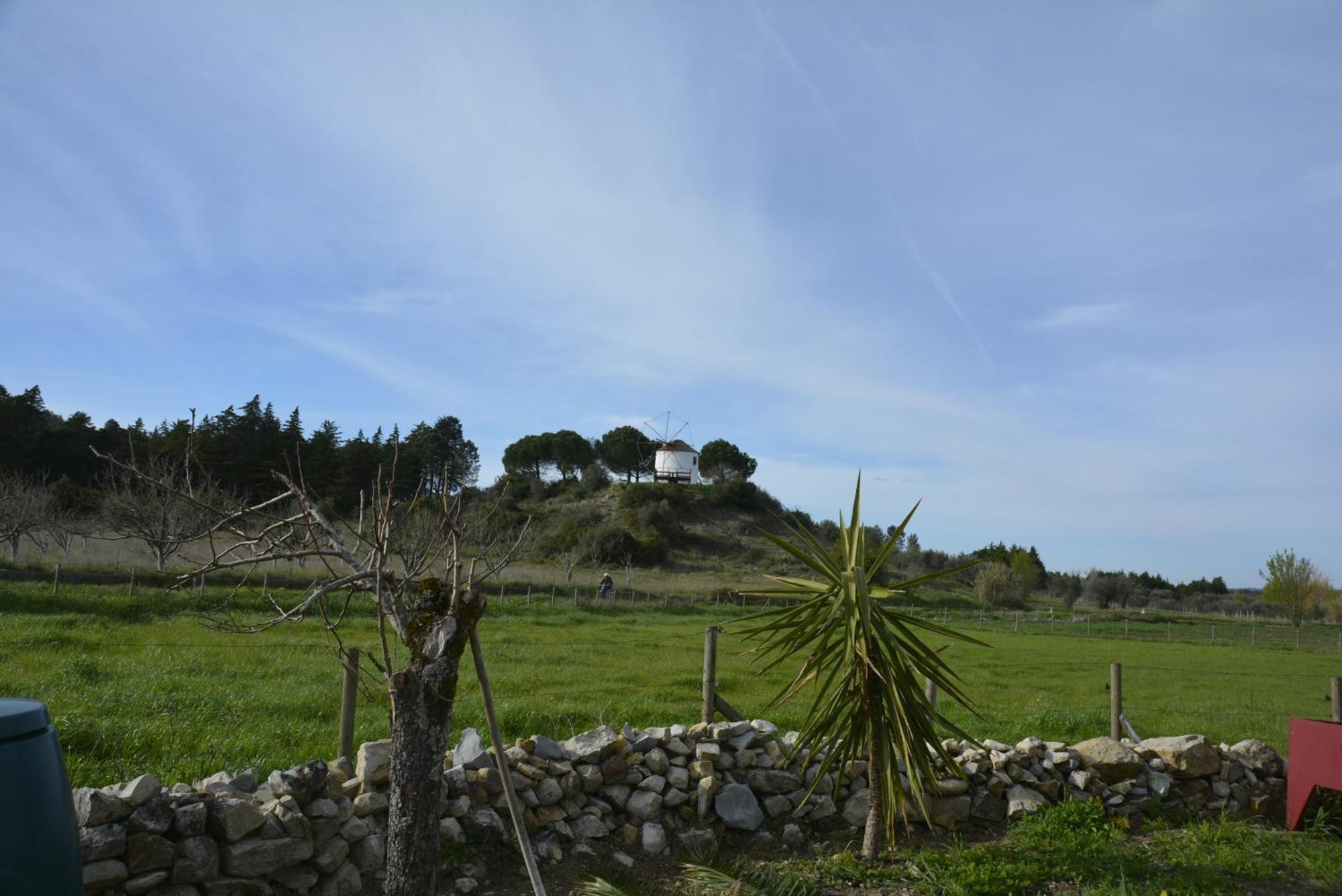 Casa Da Lima - Nestled In Nature On Santiago'S And Fatima'S Path, Close To Coimbra And Rabacal Alvorge Dış mekan fotoğraf