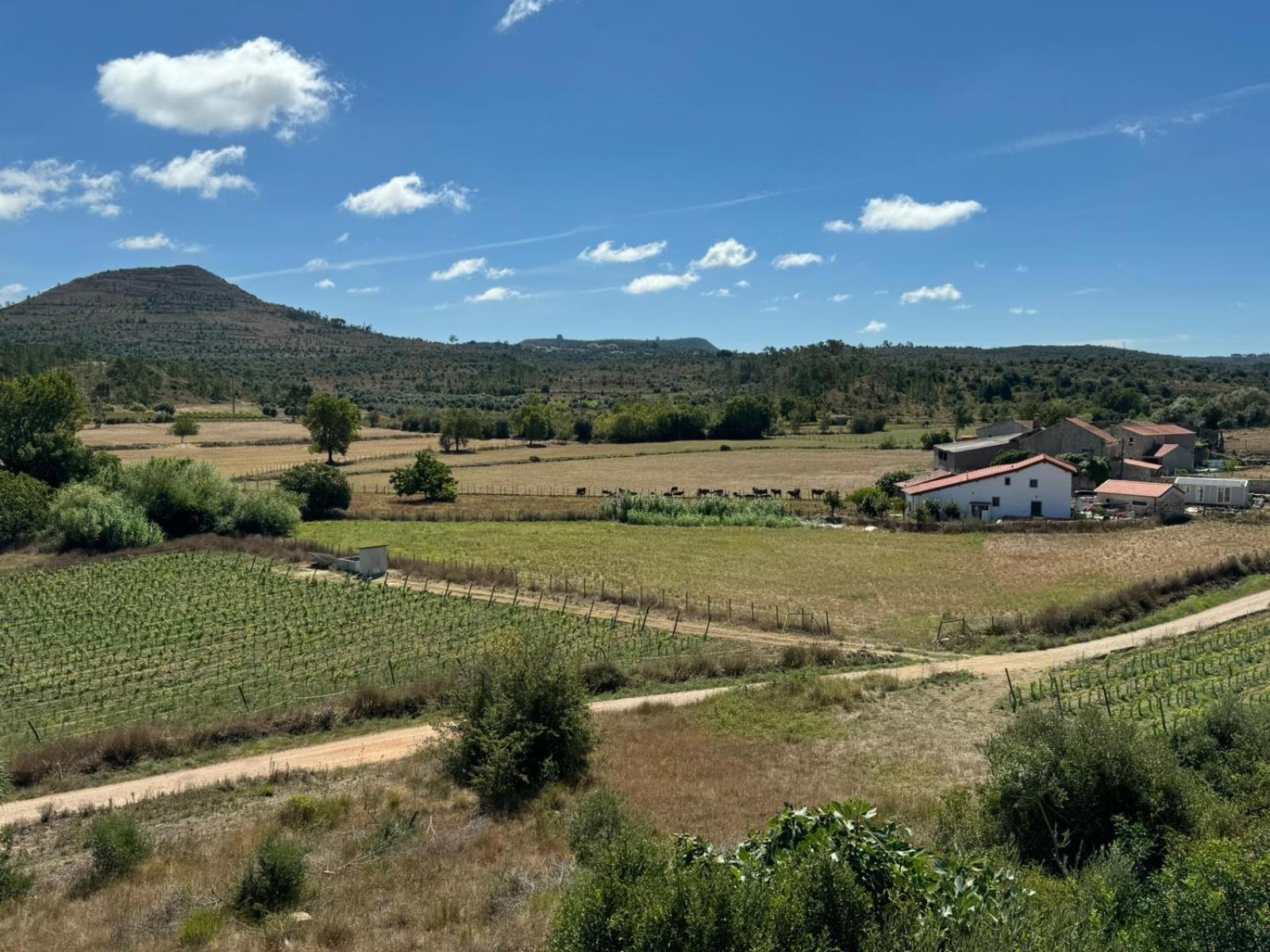 Casa Da Lima - Nestled In Nature On Santiago'S And Fatima'S Path, Close To Coimbra And Rabacal Alvorge Dış mekan fotoğraf
