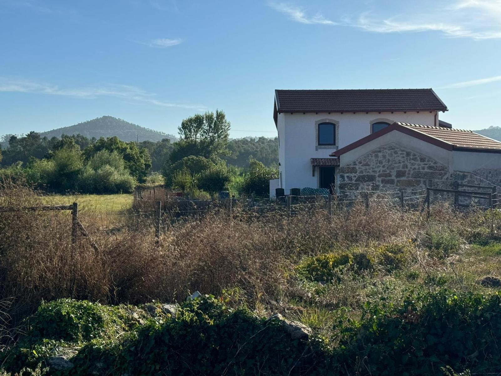 Casa Da Lima - Nestled In Nature On Santiago'S And Fatima'S Path, Close To Coimbra And Rabacal Alvorge Dış mekan fotoğraf