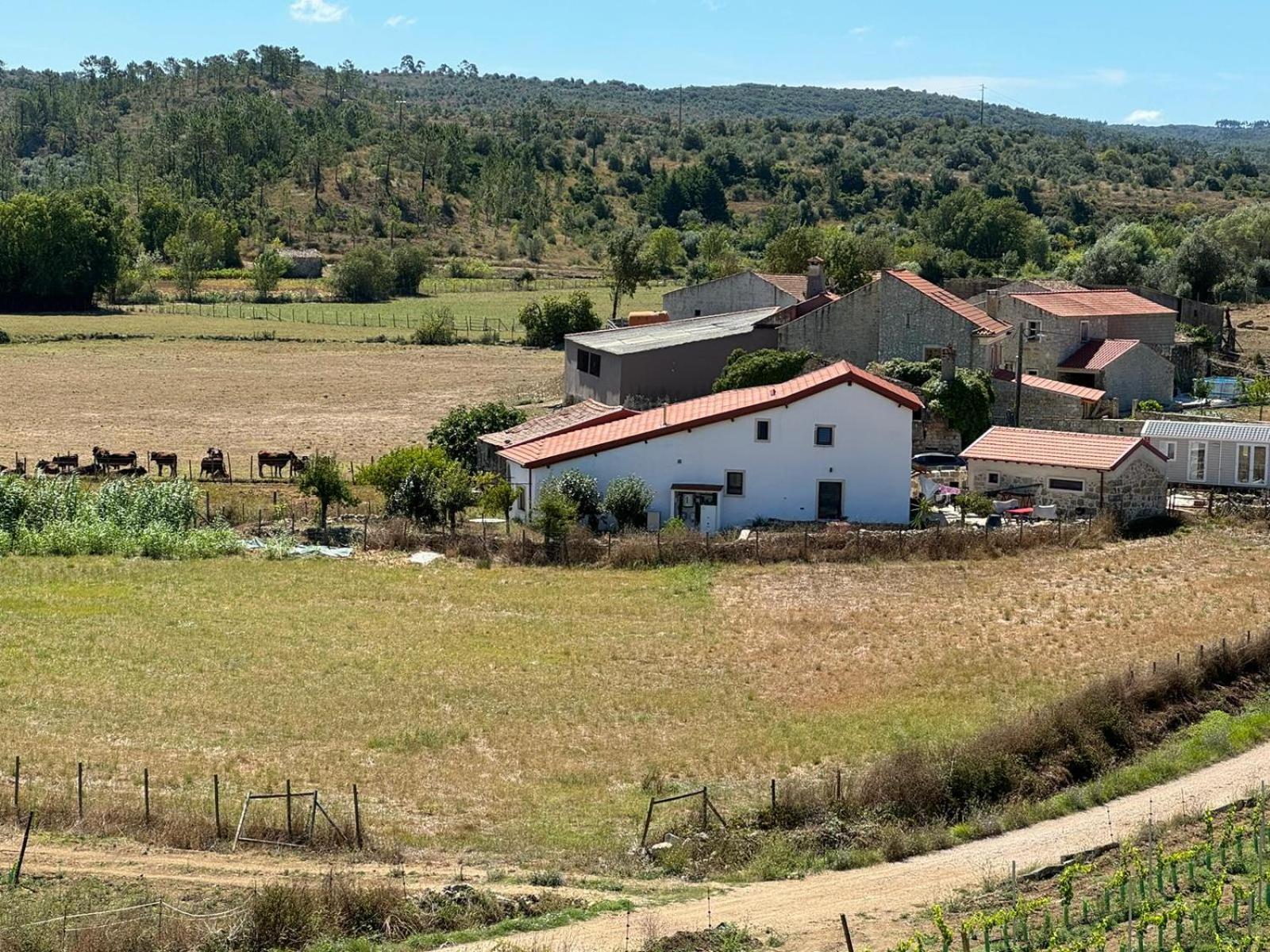 Casa Da Lima - Nestled In Nature On Santiago'S And Fatima'S Path, Close To Coimbra And Rabacal Alvorge Dış mekan fotoğraf