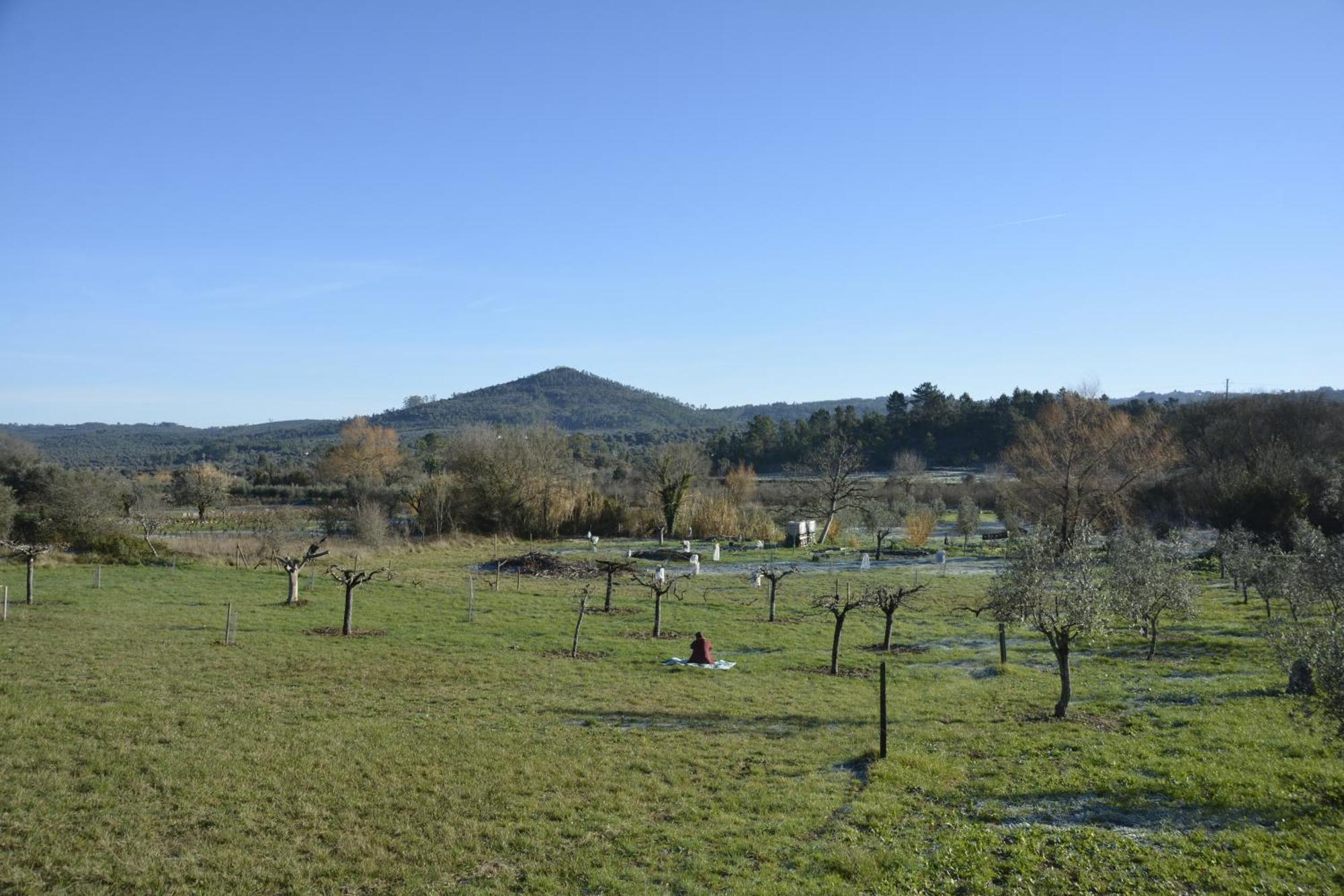 Casa Da Lima - Nestled In Nature On Santiago'S And Fatima'S Path, Close To Coimbra And Rabacal Alvorge Dış mekan fotoğraf
